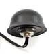 4G LTE/GPS/GLONASS Antenne Extérieure Combinée 2dBi, 3m
