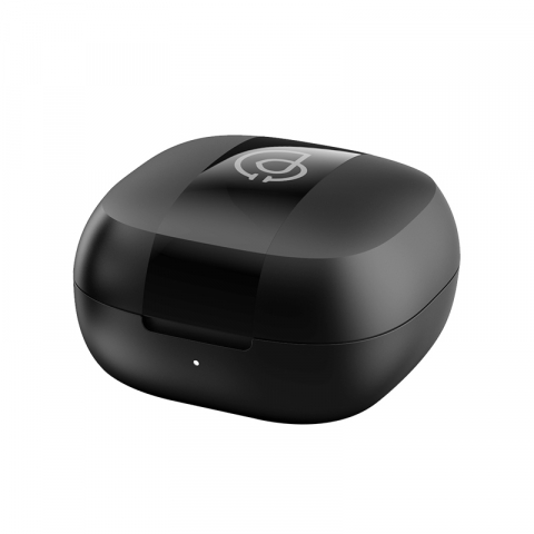 Écouteurs Haylou T17 (noir)