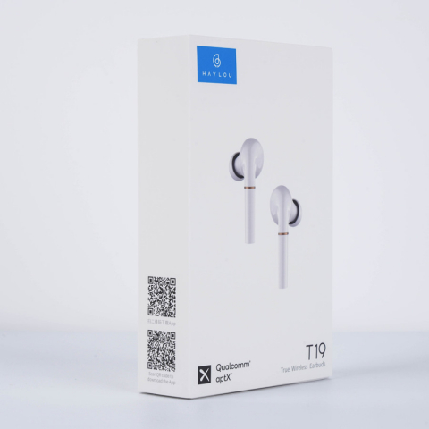 Écouteurs Haylou T19 (blanc)