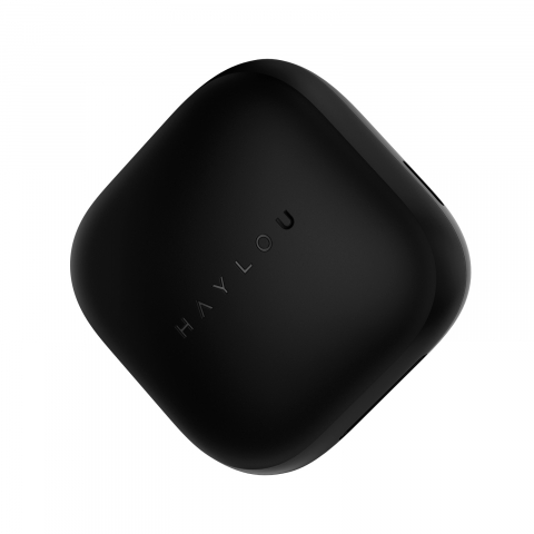 Écouteurs Haylou GT6 (noir)